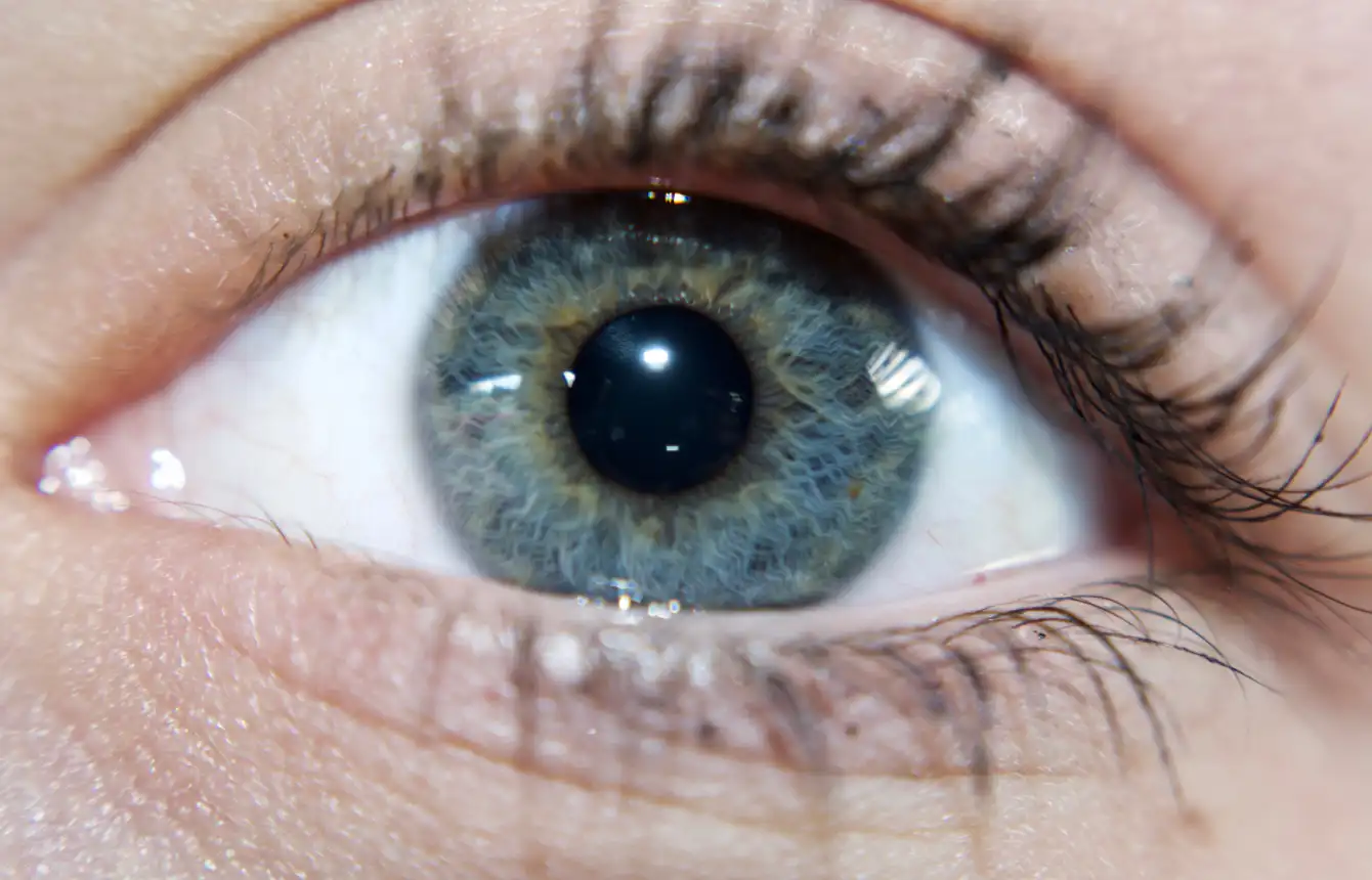 Trasplantes de córnea